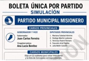 Reforma política: analizan que el límite de sublemas sea variable según la población de cada municipio imagen-1