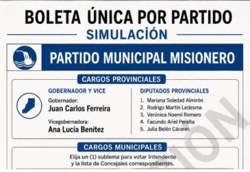 Reforma política: analizan que el límite de sublemas sea variable según la población de cada municipio imagen-23