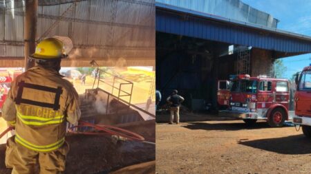 Controlaron un principio de incendio en un aserradero de 9 de Julio Controlaron un principio de incendio en un aserradero de 9 de Julio imagen-119