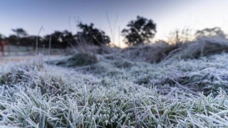 Misiones tendrá días soleados y mañanas muy frías: anticipan posibles heladas desde el lunes imagen-66