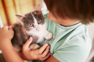 Qué significa acariciar siempre a los gatos, según la psicología imagen-3