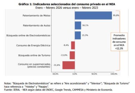 NEA: crece el consumo, pero las familias se endeudan más y cambian sus prioridades de gasto imagen-4