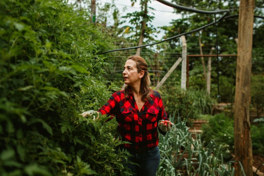 Huerta en casa: las verduras que deberías plantar en otoño en Argentina imagen-95