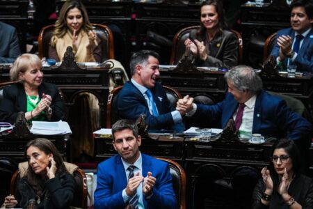 Las normas insólitas que pueden caer con la ley de “Hojarasca” y los cambios que el Gobierno tuvo que retirar imagen-16