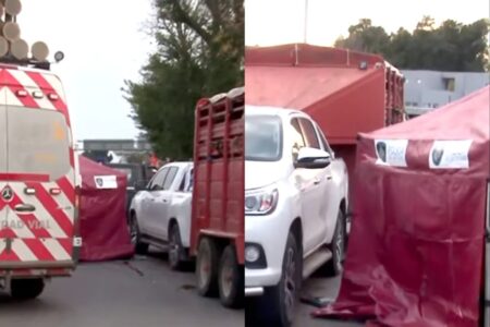 Bajó de la camioneta en la Perito Moreno por un problema en la rueda y lo atropellaron: murió imagen-10