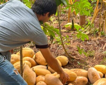 «Misiones Produce» contiene desarrollo provincial desde las chacras, producción y agregado en valor imagen-22