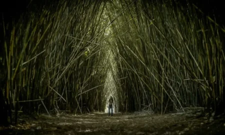 Filme de terror hecho en Posadas se verá en el Festival de Cine de las Alturas imagen-6