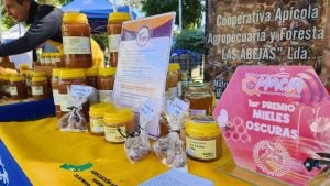 25 de Mayo | La Cooperativa Apícola celebra la Semana de la Miel con actividades y una propuesta de plaza temática imagen-7