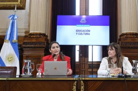 Sonia Rojas Decut asumió la presidencia de la Comisión de Educación y Cultura en el Senado imagen-68