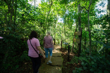 Visitas guiadas en el Parque Temático de la Cruz imagen-81