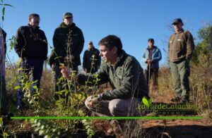 Misiones declaró Monumentos Naturales Provinciales a 12 especies únicas del Teyú Cuaré imagen-70