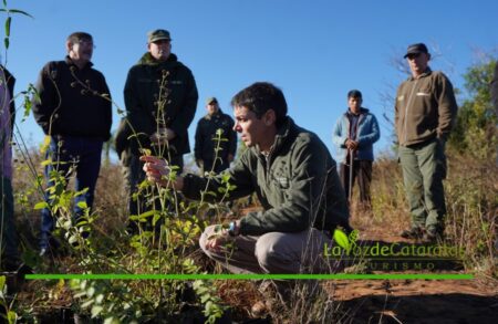 Misiones declaró Monumentos Naturales Provinciales a 12 especies únicas del Teyú Cuaré imagen-127