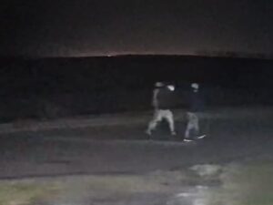 “Es tierra de nadie”: temor en un municipio bonaerense por robos en los campos y un impactante caso imagen-4