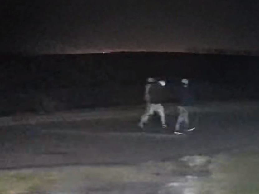 “Es tierra de nadie”: temor en un municipio bonaerense por robos en los campos y un impactante caso imagen-97