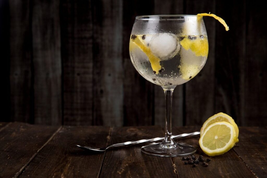 World Gin Awards 2026: cuáles son los argentinos que ganaron medallas y cuándo se conoceran los mejores del mundo imagen-100