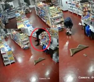 Dúo de delincuentes fue capturado por la Policía involucrados en una seguidilla de robos en Puerto Iguazú imagen-1