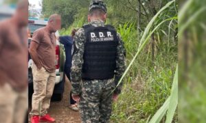 Avistan yaguareté en chacras de Almafuerte y piden presencia policial imagen-4