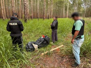 Narcos huyeron al ver a la Policía y abandonaron más de $248 millones en marihuana en el monte de San Ignacio imagen-1
