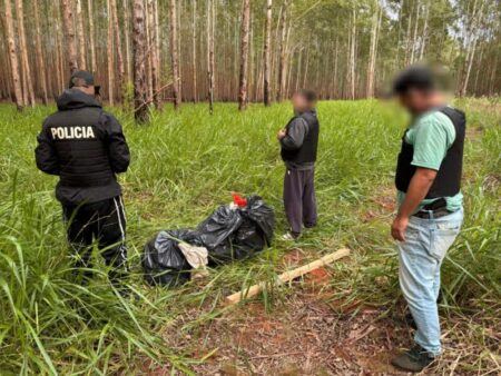 Narcos huyeron al ver a la Policía y abandonaron más de $248 millones en marihuana en el monte de San Ignacio imagen-8