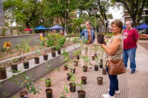 En el Día de la Selva Misionera se promovió la reforestación y el cuidado ambiental con entrega de plantines a vecinos de Posadas imagen-1