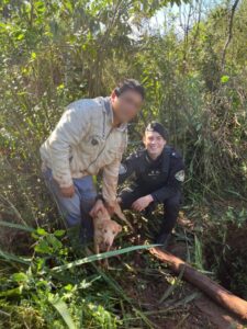La Policía salvó a “Pitoca”, una perra que estuvo días atrapada en un pozo en Campo Viera imagen-70