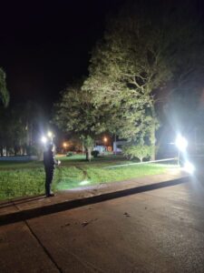 Conductor perdió el control y terminó dañando una plazoleta en Campo Viera imagen-70