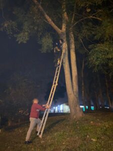 A pedido de una familia policías de Oberá rescataron a su gato atrapado en un árbol imagen-75
