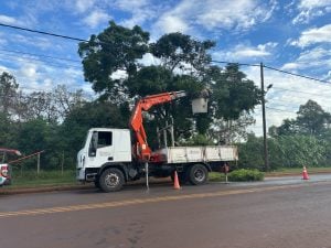 Energía de Misiones continua con el operativo integral de mantenimiento preventivo en Posadas imagen-9