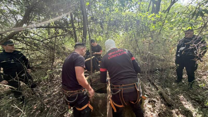 Mintió sobre un homicidio, activó un megaoperativo policial y el 911 lo rastreó hasta detenerlo Mintió sobre un homicidio, activó un megaoperativo policial y el 911 lo rastreó hasta detenerlo imagen-4
