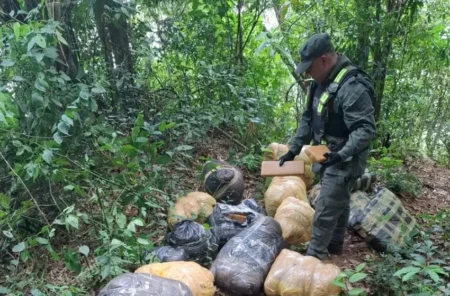 Incautaron 190 kilos marihuana que estaban escondidos en el monte. imagen-68