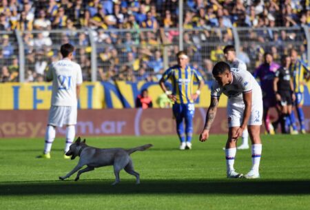 Un perro interrumpió el partido entre Rosario Central y Tigre: “Quería definir” imagen-10