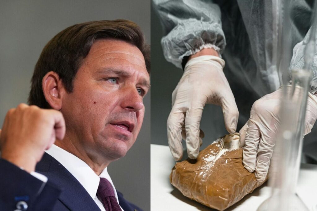 Buenas noticias en Florida: DeSantis celebró una fuerte caída de muertes por opioides y fentanilo imagen-96