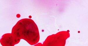 Las vesículas extracelulares de las células sanguíneas menstruales muestran potencial para estimular la reparación del cartílago imagen-2