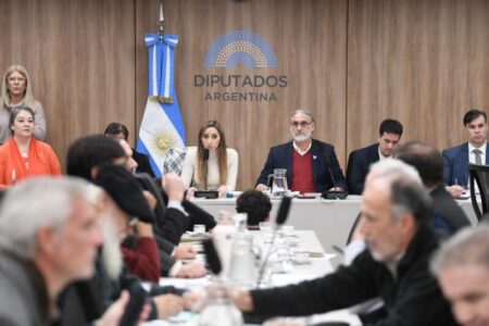 Voluntad política y respuestas urgentes para la crisis yerbatera, se necesitan imagen-18