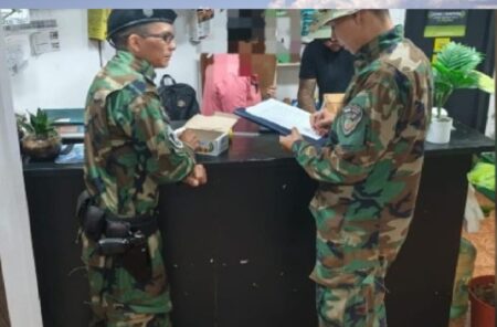 Eldorado: rescataron tortugas y aves que eran ofrecidas para la venta ilegal imagen-70