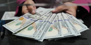 Súper peso: el dólar no detiene su caída y la moneda argentina trepa a su nivel más alto desde 2017 Súper peso: el dólar no detiene su caída y la moneda argentina trepa a su nivel más alto desde 2017 imagen-7