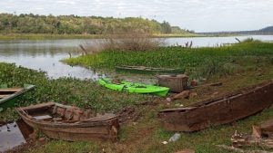 Misiones | Guardaparques detectaron puertos clandestinos y decomisaron redes de pesca ilegal en el arroyo Yabebiry imagen-6