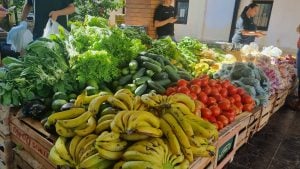 Habilitan inscripción para comercios al programa Ahora Chacra: reintegros del 20% desde junio imagen-7