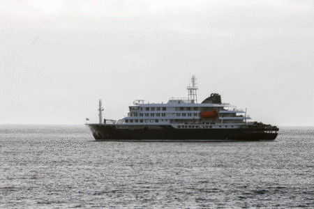 Hantavirus en el MV Hondius: la OMS sospecha que hubo contagios persona a persona imagen-10