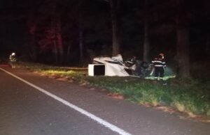 Puerto Libertad: un hombre falleció tras despistar y volcar sobre la Ruta 12 imagen-65