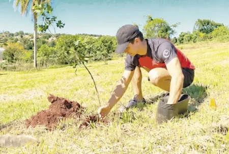 Un joven sanvicentino apuesta a la reforestación con apoyo comunitario imagen-24