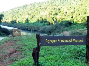 Avanza el tratamiento de la municipalización del Moconá imagen-2