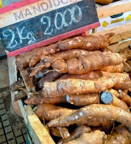 Entre gran cantidad de verduras de hoja, mandiocas y batatas van en alza en ferias imagen-16