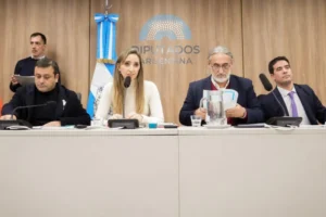 En el Congreso Herrera Ahuad aseguró que Misiones pierde hasta tres RIGI por año con la desregulación yerbatera imagen-2