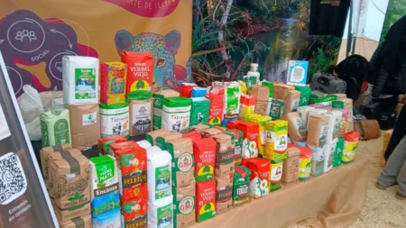 Cerca de 200 marcas de yerba mate buscan llegar a más consumidores imagen-8