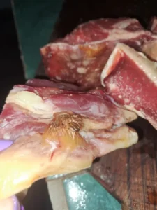 Alerta en San Pedro: Compró carne y esta contenía garrapatas imagen-2