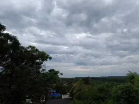 Fin de semana con mejoras en el tiempo y temperaturas agradables en Misiones imagen-7