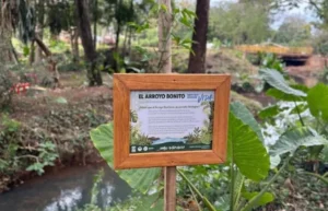 Montecarlo se suma a la ruta de las aves y pone al Jardín Botánico en el mapa internacional del avistaje imagen-2