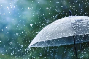 Vuelven las tormentas a Misiones con calor intenso y un marcado descenso térmico hacia el domingo imagen-3