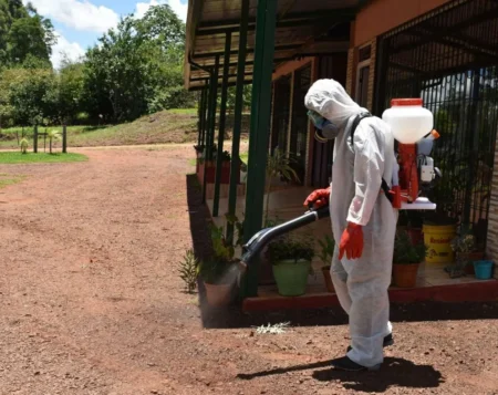 Misiones registró un aumento de casos de leptospirosis imagen-4